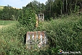 VBS_5467 - C'è un mare di velluto verde! E tu che sognavi di andare lontano... Quanta meraviglia, quì!
